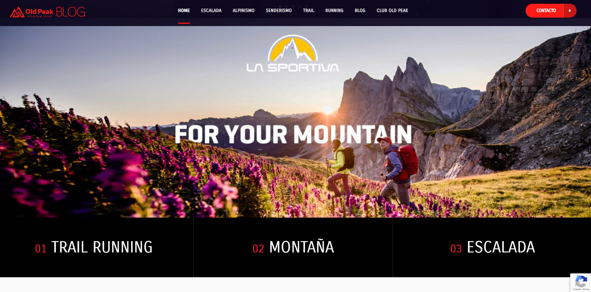 Detalle del proyecto Blog para Old Peak