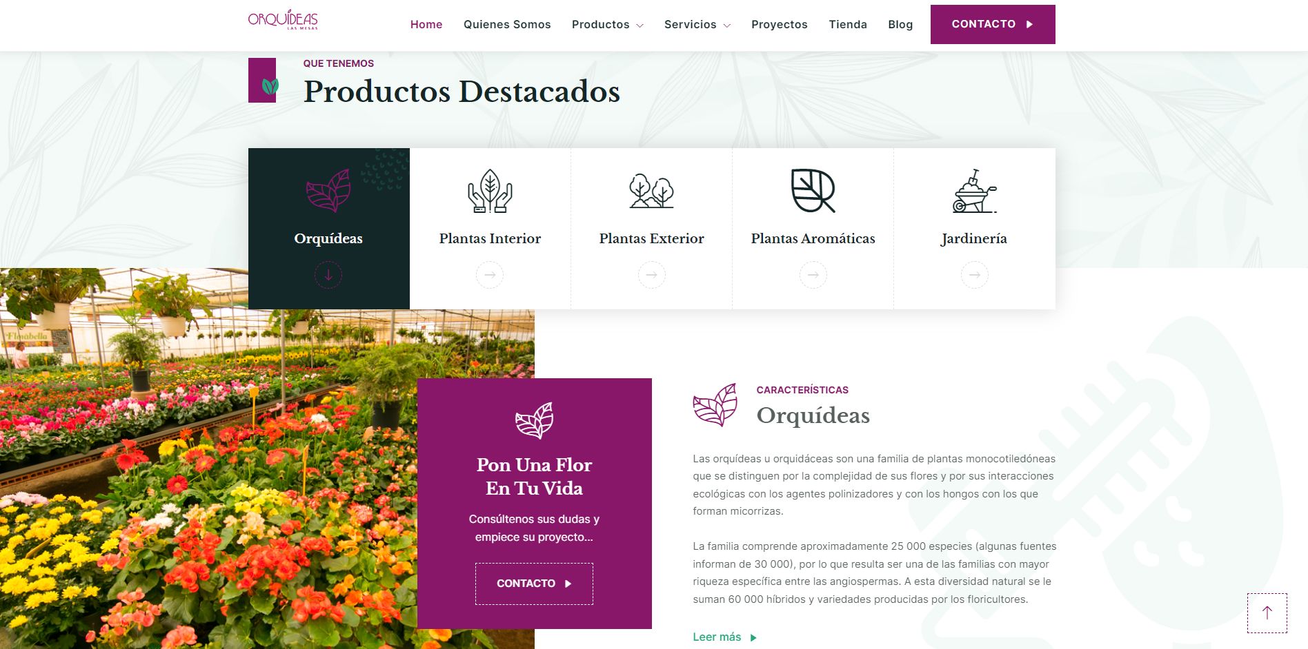 Detalle del proyecto Vivero Orquídeas Las Mesas
